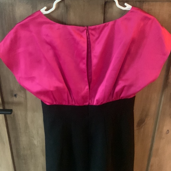 The Limited Dress - Picture 7 of 11